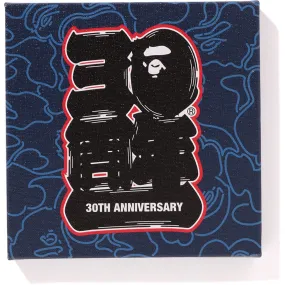 BAPE 30TH ANNIV. CANVAS SMALL