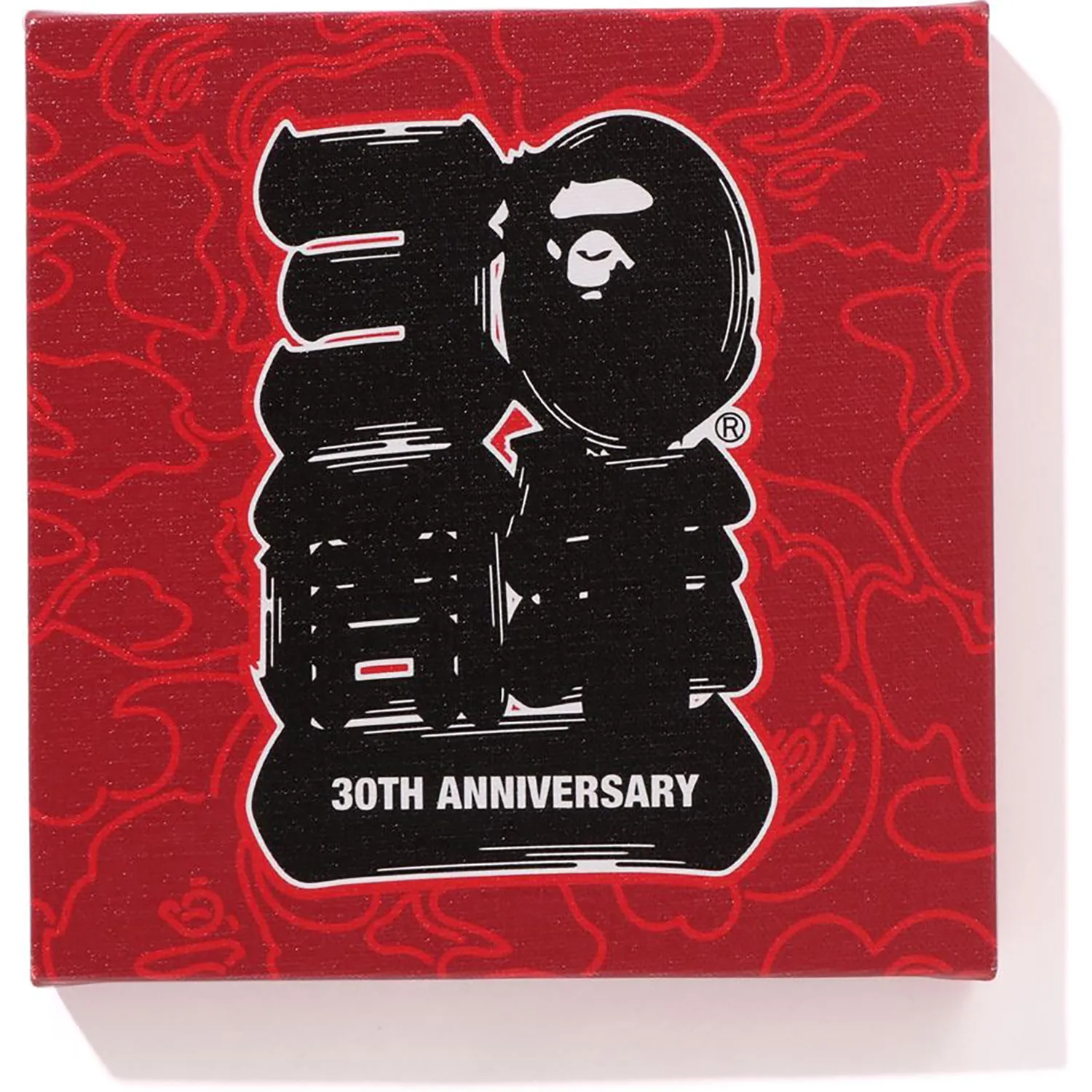 BAPE 30TH ANNIV. CANVAS SMALL