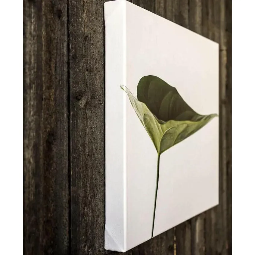 DETOX WALL CANVAS