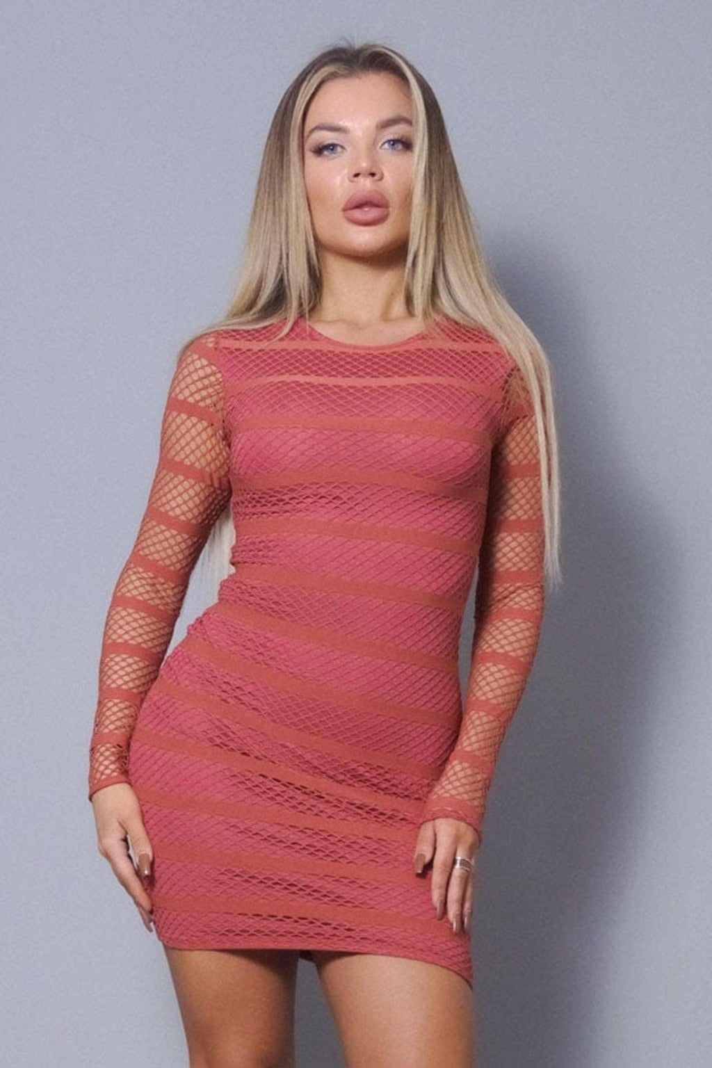 SEE THROUGH ME SEXY MESH MINI DRESS