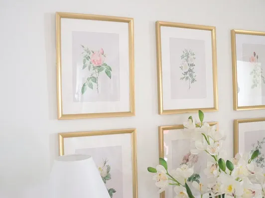 Vintage Botanical Framed Canvas Prints