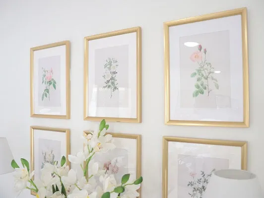 Vintage Botanical Framed Canvas Prints